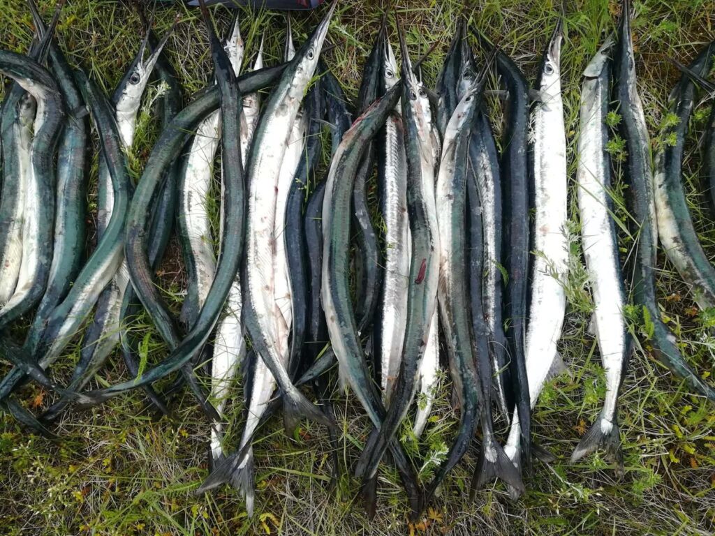 tuulehaug 3